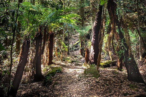 Blue Mountains Secret Places Adventure - Accommodation Sunshine Coast 1