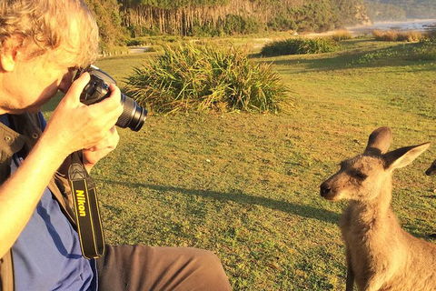 Highlights Of The Eurobodalla (half Day Private Tour) - Accommodation Sunshine Coast 2