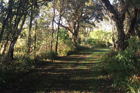 Coffs Harbour To Sawtell Bike Ride - Accommodation Sunshine Coast 7