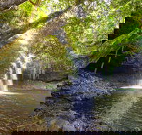 Half-Day Best Of Byron Sightseeing Tour - Accommodation Sunshine Coast
