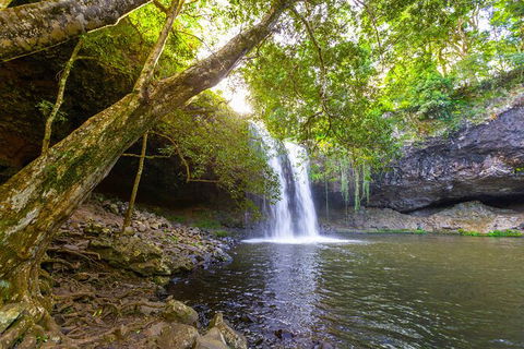 Half-Day Best Of Byron Sightseeing Tour - Accommodation Sunshine Coast 0