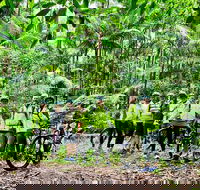 Guided E Bike Tour - Hells Hole Pools  Rainforest - Accommodation Sunshine Coast