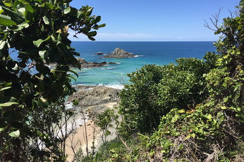 Behind The Bay - Explore Like A Local - Accommodation Sunshine Coast 12