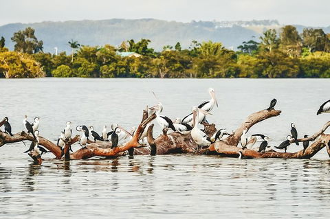Sunset River Cruise Near Byron Bay - Accommodation Sunshine Coast 27