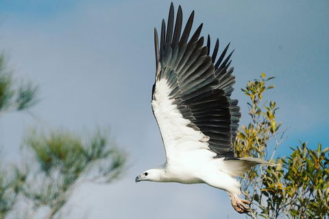 Sunset River Cruise Near Byron Bay - Accommodation Sunshine Coast 30