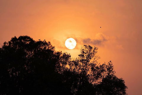 Sunset River Cruise Near Byron Bay - Accommodation Sunshine Coast 14