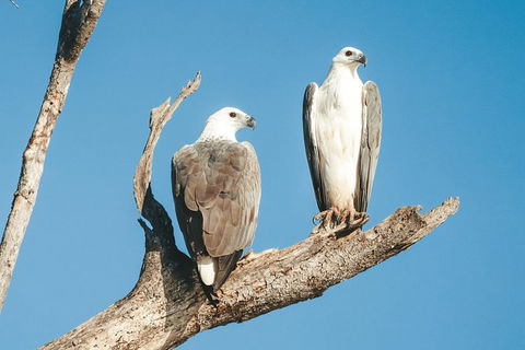 Sunset River Cruise Near Byron Bay - Accommodation Sunshine Coast 19