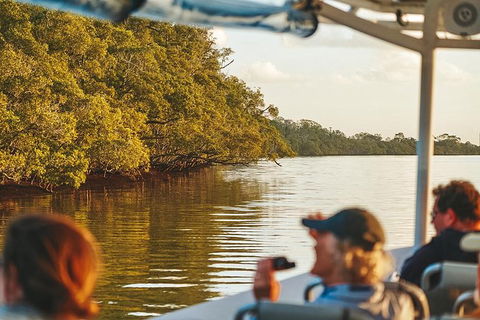 Sunset River Cruise Near Byron Bay - Accommodation Sunshine Coast 26