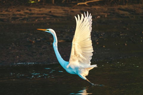 Sunset River Cruise Near Byron Bay - Accommodation Sunshine Coast 34