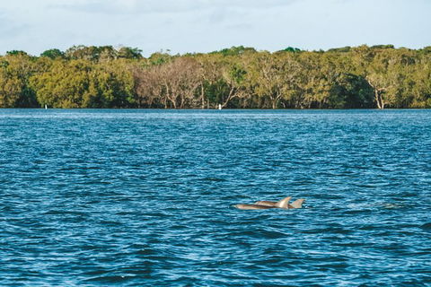 Sunset River Cruise Near Byron Bay - Accommodation Sunshine Coast 2