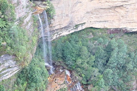 All-Inclusive Blue Mountains Tour In A Luxury Mercedes Sprinter - Accommodation Sunshine Coast 9