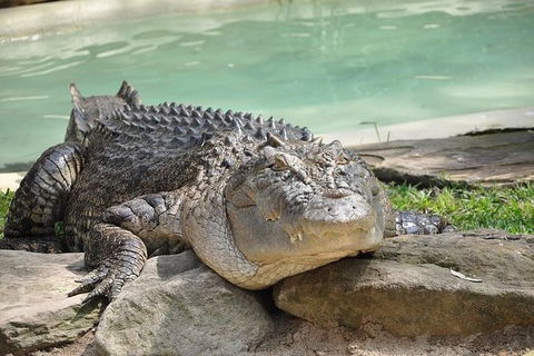 All-Inclusive Blue Mountains Tour In A Luxury Mercedes Sprinter - Accommodation Sunshine Coast 7