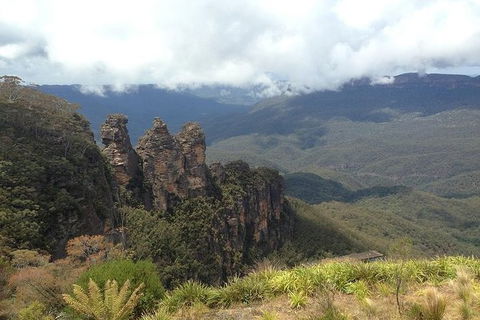All-Inclusive Blue Mountains Tour In A Luxury Mercedes Sprinter - Accommodation Sunshine Coast 3
