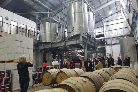 Hunter Valley Small Group Wine, Gin, Cheese & Chocolate Tour - Accommodation Sunshine Coast 6