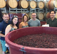 Hunter Valley Small Group Wine Gin Cheese  Chocolate Tour - Accommodation Sunshine Coast