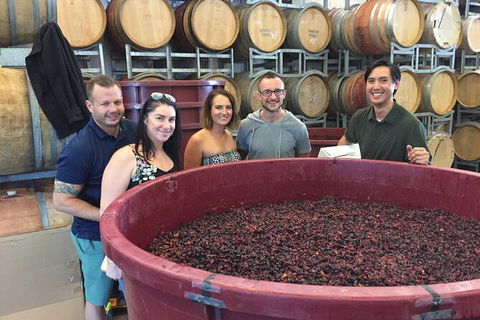 Hunter Valley Small Group Wine, Gin, Cheese & Chocolate Tour - Accommodation Sunshine Coast 0