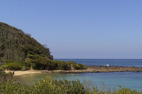 Broulee Island Nature Reserve: An Audio Tour Of This Tranquil Island Paradise - Accommodation Sunshine Coast 4