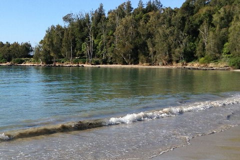 Broulee Island Nature Reserve: An Audio Tour Of This Tranquil Island Paradise - Accommodation Sunshine Coast 0