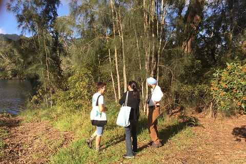 Fishermans Paradise Eco-walk - Accommodation Sunshine Coast 1