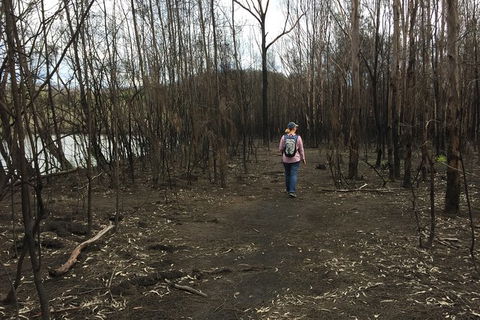 Fishermans Paradise Eco-walk - Accommodation Sunshine Coast 5