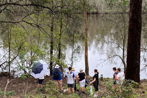 Fishermans Paradise Eco-walk - Accommodation Sunshine Coast 2