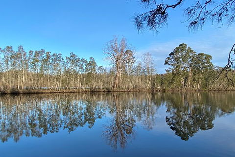 Fishermans Paradise Eco-walk - Accommodation Sunshine Coast 4