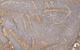 Aboriginal Rock Art - thumb 4