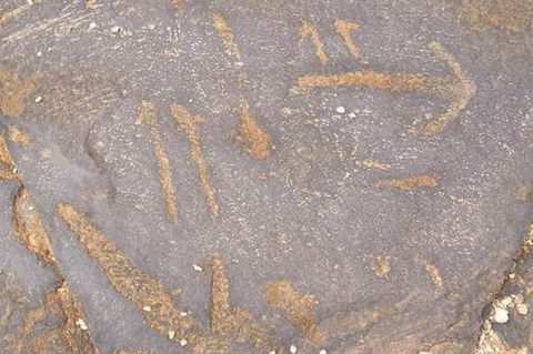 Aboriginal Rock Art - Accommodation Sunshine Coast 4