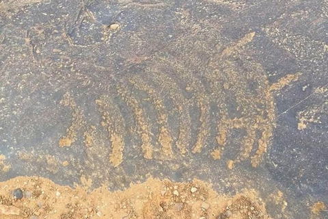 Aboriginal Rock Art - Accommodation Sunshine Coast 0