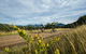 Full Day - Gravel Grind Cycling Tour - thumb 4