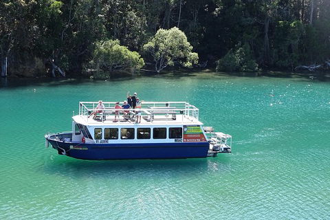 Byron Bay Rainforest Eco-Cruise - Accommodation Sunshine Coast 0