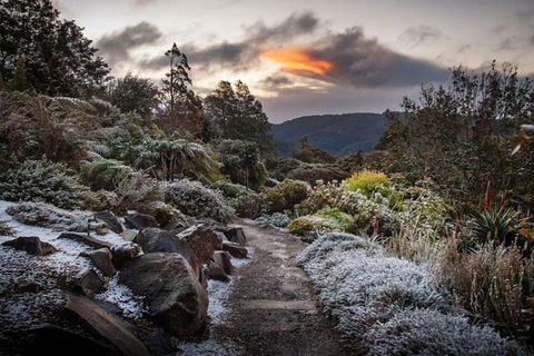 Blue Mountains Botanic Garden And Bilpin Tour From Katoomba With Cider Tasting - Accommodation Sunshine Coast 2