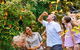 Full-Day Guided Tour Byron Bay With Pickup - thumb 1