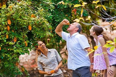 Full-Day Guided Tour Byron Bay With Pickup - Accommodation Sunshine Coast 1