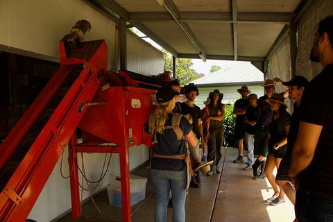 Pecan Farm Tour And Workshop, Byron Bay Hinterland - Accommodation Sunshine Coast 4