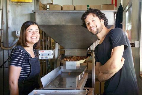 Pecan Farm Tour And Workshop, Byron Bay Hinterland - Accommodation Sunshine Coast 7