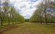 Pecan Farm Tour And Workshop, Byron Bay Hinterland - thumb 6