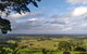 Pecan Farm Tour And Workshop, Byron Bay Hinterland - thumb 1