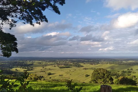 Pecan Farm Tour And Workshop, Byron Bay Hinterland - Accommodation Sunshine Coast 1