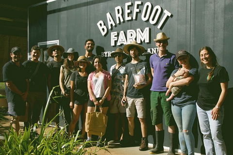 Pecan Farm Tour And Workshop, Byron Bay Hinterland - Accommodation Sunshine Coast 0