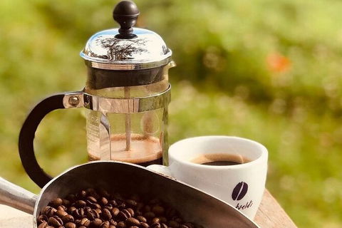 Coffee Farm Tour And Workshop, Byron Bay Hinterland - Accommodation Sunshine Coast 0
