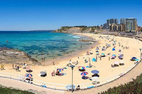 Newcastle Scenic Explorer - 2 Hour Tour By Minibus - Accommodation Sunshine Coast 16