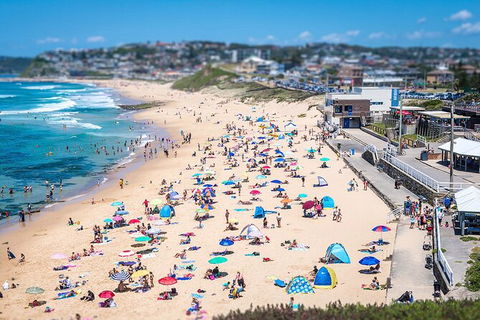 Newcastle Scenic Explorer - 2 Hour Tour By Minibus - Accommodation Sunshine Coast 6