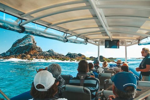Julian Rocks Byron Bay Cruise - Accommodation Sunshine Coast 13
