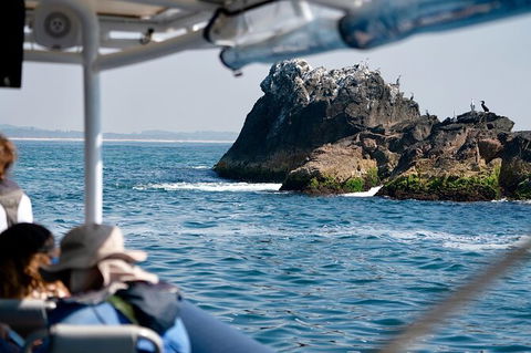 Julian Rocks Byron Bay Cruise - Accommodation Sunshine Coast 20