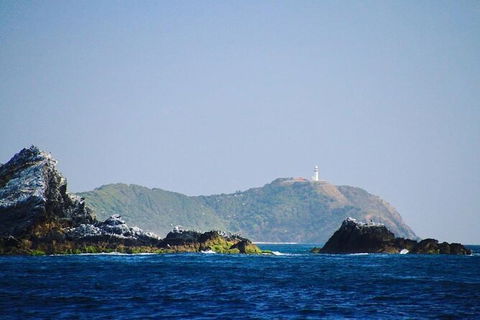 Julian Rocks Byron Bay Cruise - Accommodation Sunshine Coast 2