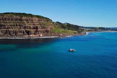 Julian Rocks Byron Bay Cruise - Accommodation Sunshine Coast 6
