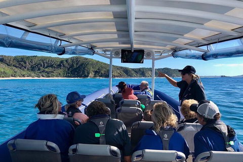 Julian Rocks Byron Bay Cruise - Accommodation Sunshine Coast 11