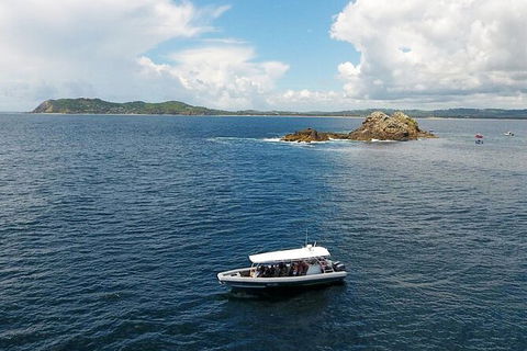Julian Rocks Byron Bay Cruise - Accommodation Sunshine Coast 0