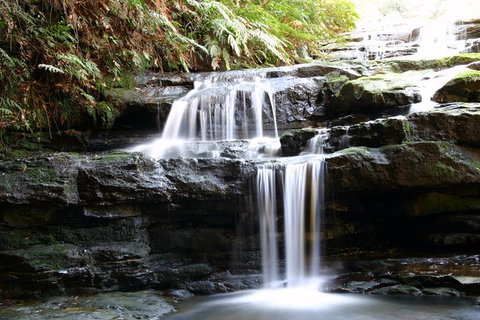 Private 10-hour Tour To Blue Mountains From Sydney - Hotel Pick Up & Drop Off - Accommodation Sunshine Coast 6